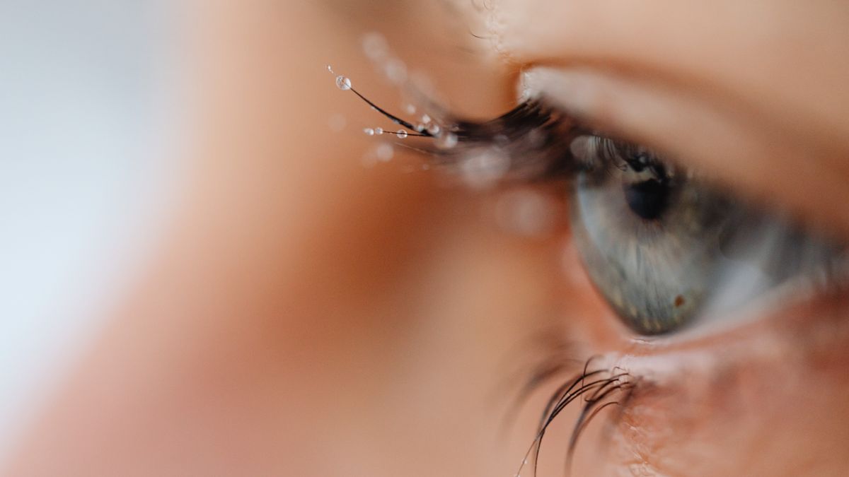 Close-up of eyelashes, illustrating coconut oil for eyelashes