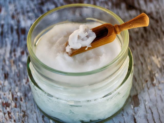 Coconut Oil (Cocos Nucifera Oil)